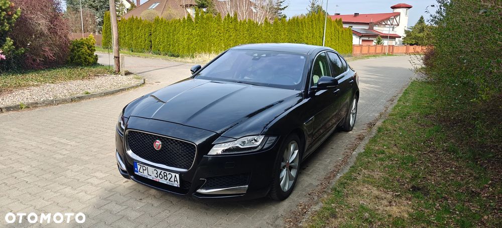 Jaguar XF 20d Prestige - 3