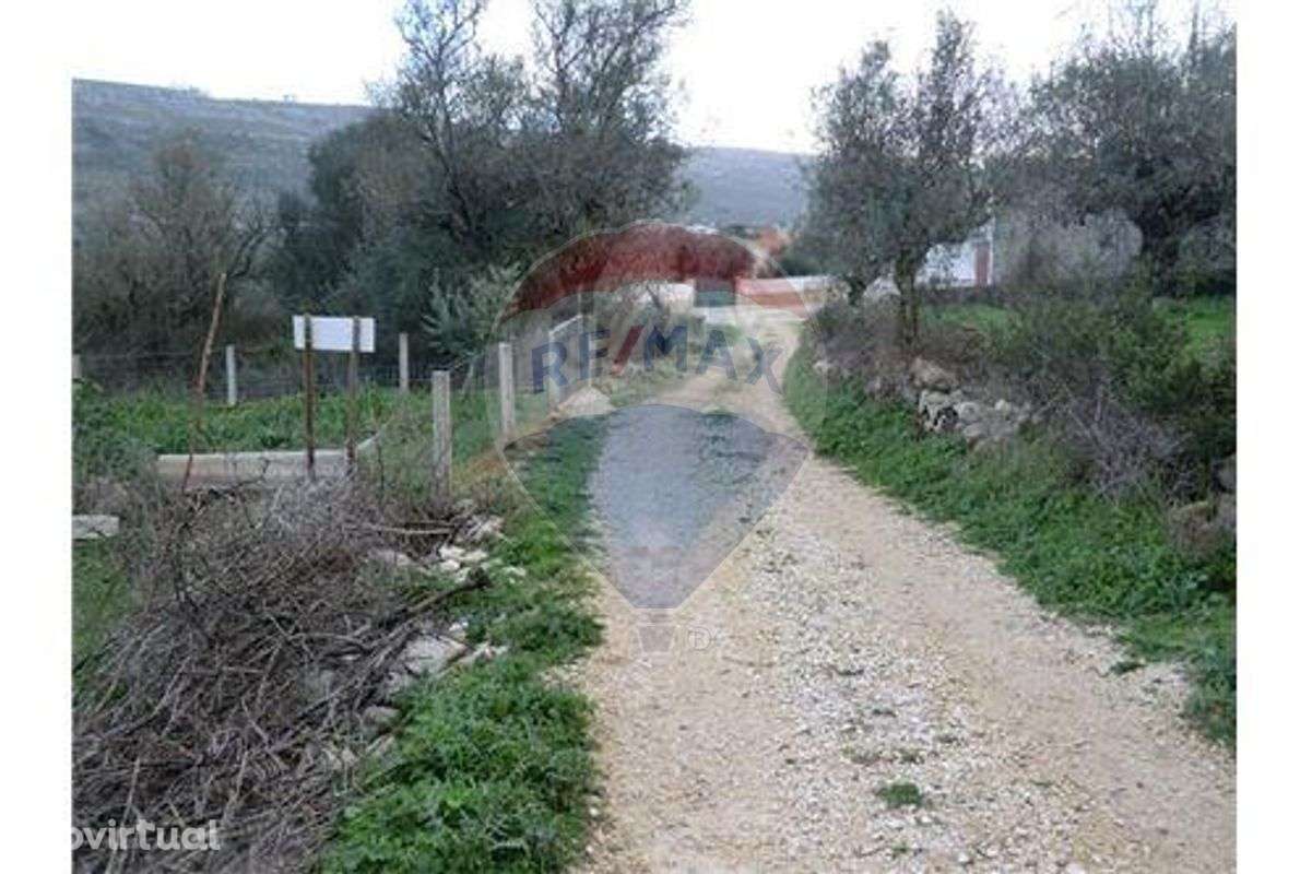 Terreno  para venda - Grande imagem: 4/23