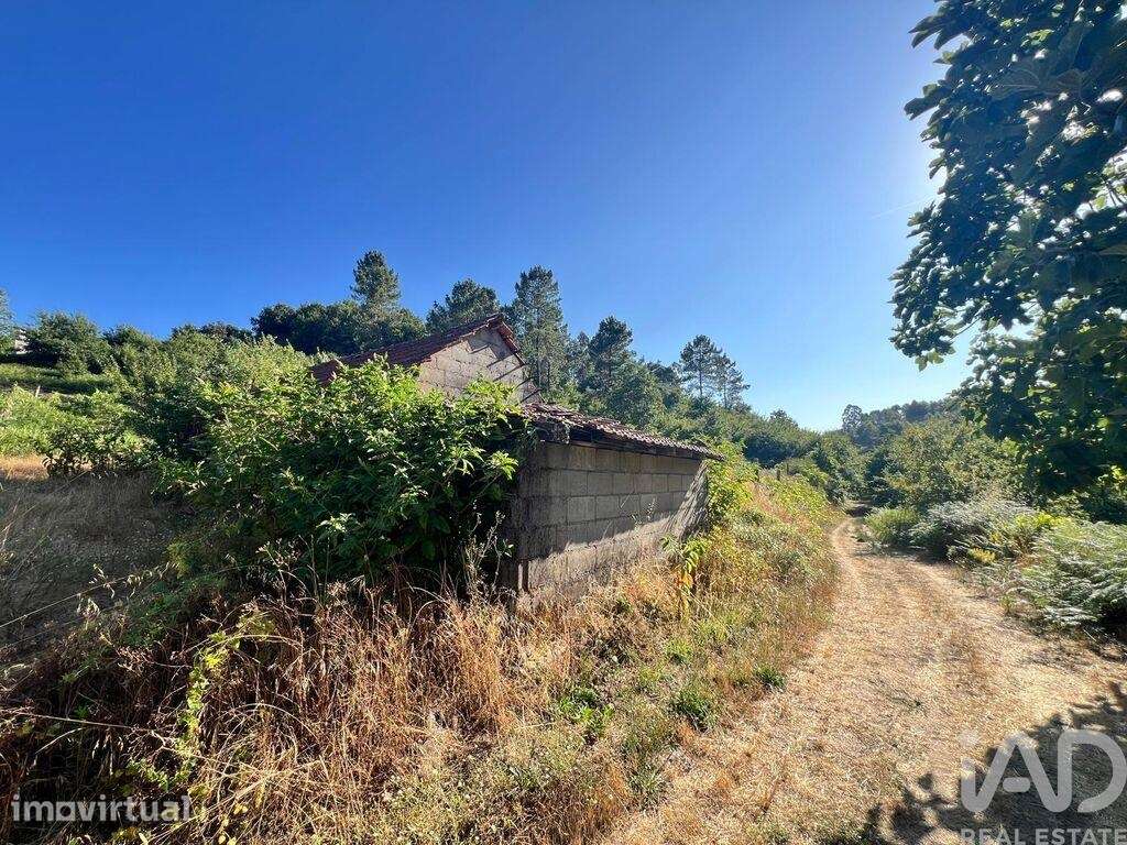 Quinta agricola T2 em Freixo de Cima e de Baixo de 190 m2 - Grande imagem: 3/31