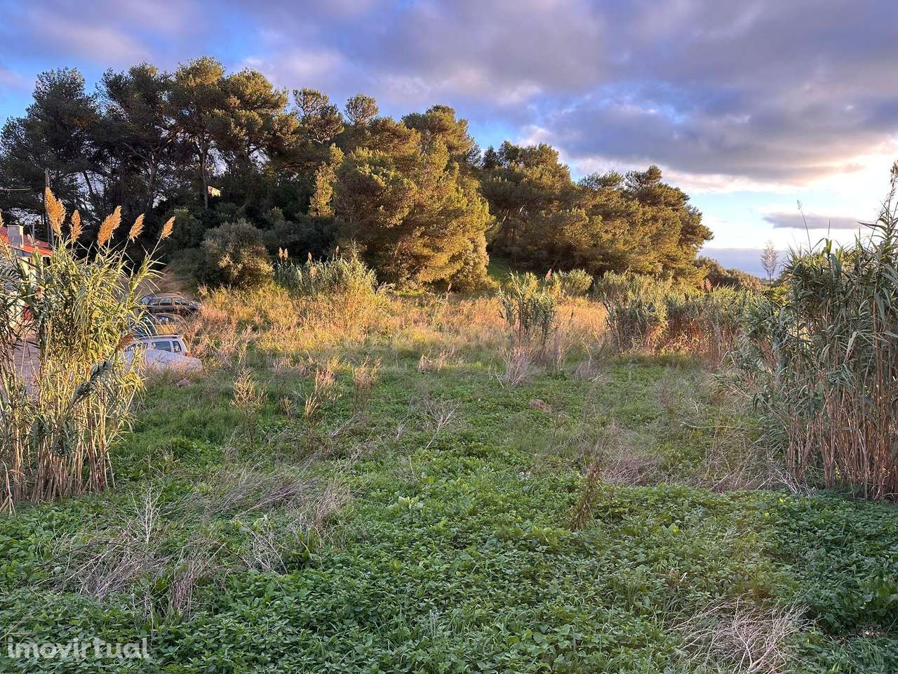 Terreno para Construção vista mar - Caparide | Cascais - Grande imagem: 2/5