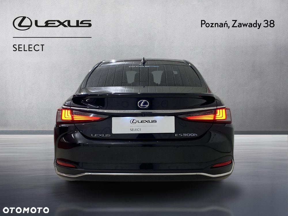 Lexus ES 300h Omotenashi - 7
