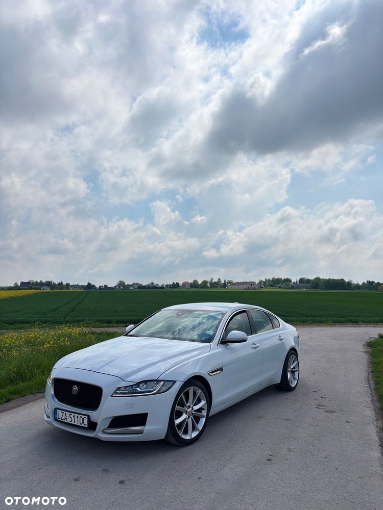 Jaguar XF 2.0 i4D Prestige - 1