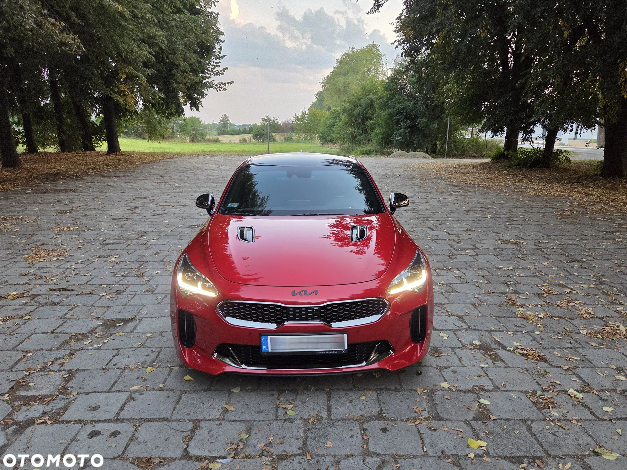 Kia Stinger 2.0 T-GDI GT Line - 8