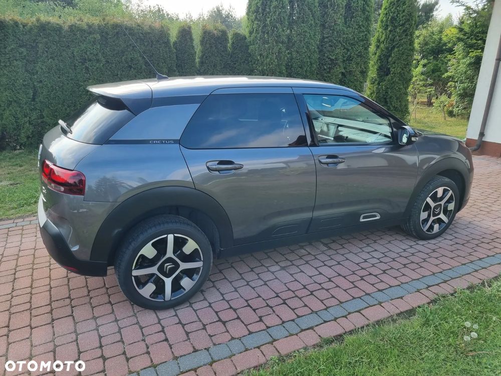 Citroën C4 Cactus 1.2 PureTech GPF Shine S&S - 15