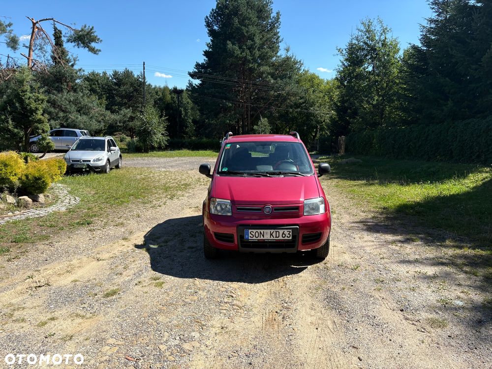 Fiat Panda 1.2 4x4 Classic - 2