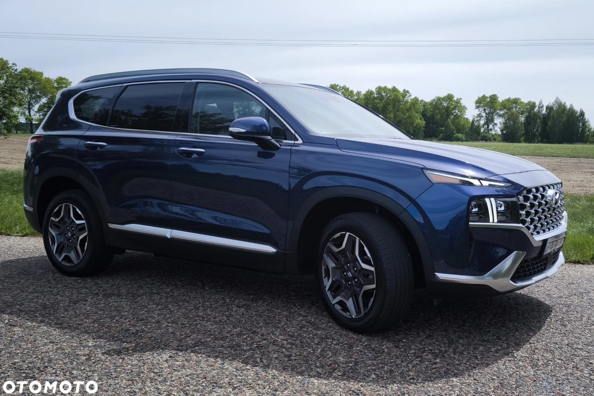 Hyundai Santa Fe 1.6 T-GDI HEV Executive 4WD - 2