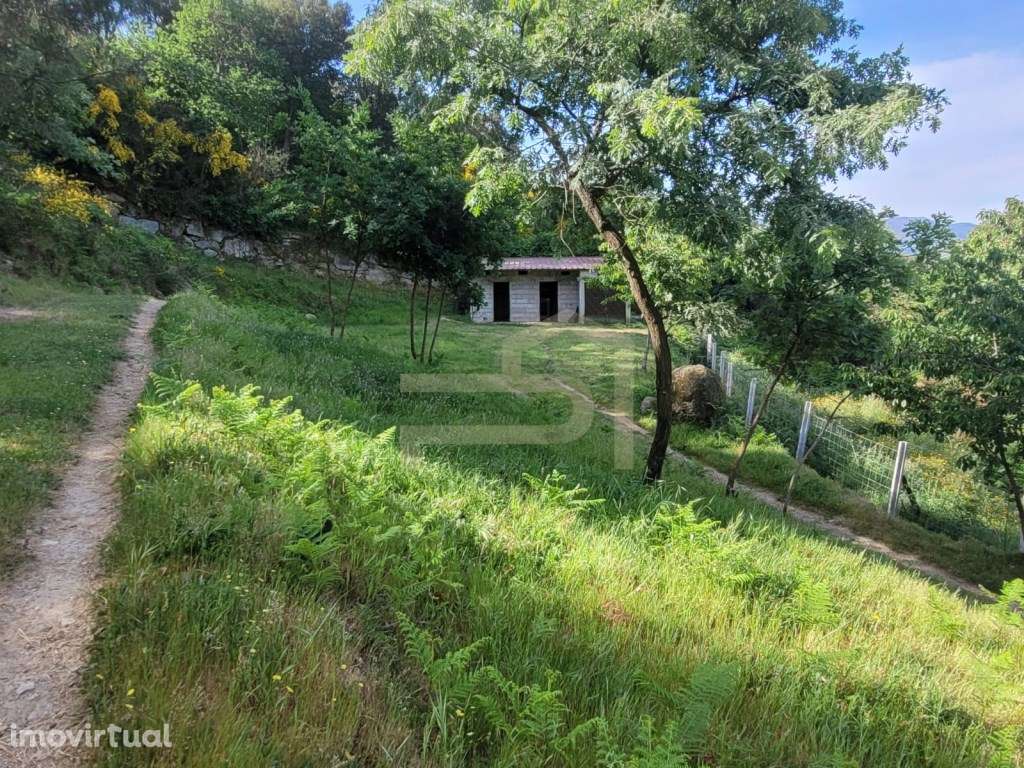 Quinta do Ribeiral - Grande imagem: 4/30