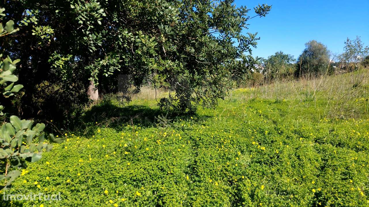 Lote de Terreno Rustico - Grande imagem: 3/4