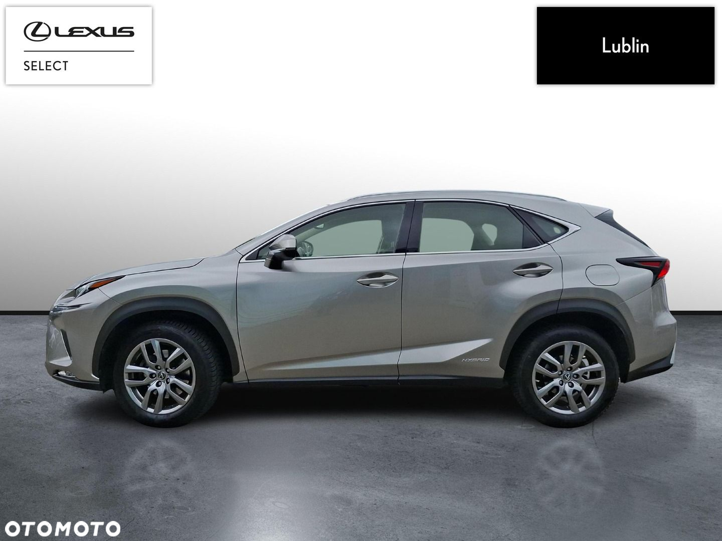 Lexus NX - 2