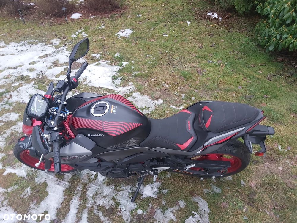 Kawasaki Z - 10