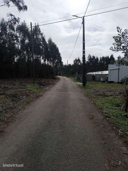 Terreno em Quiaios - Figueira da Foz - Grande imagem: 3/5