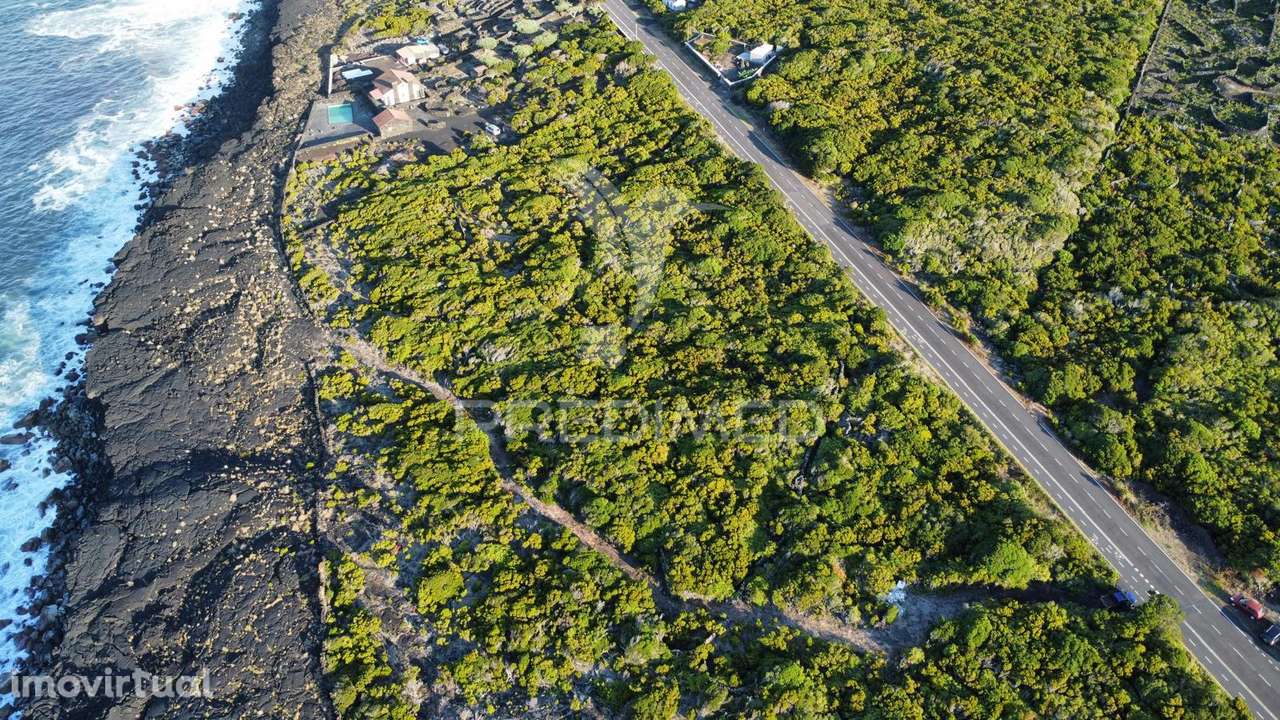 Terreno, para Venda, no Cachorro, Bandeiras - Grande imagem: 3/12