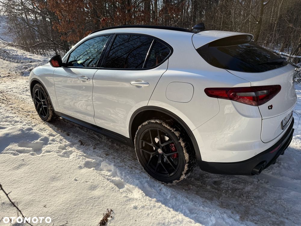 Alfa Romeo Stelvio 2.0 Turbo 16V AT8-Q4 Ti - 8