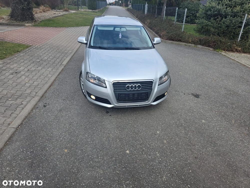 Audi A3 3-drzwiowe 1.6 Ambition - 32