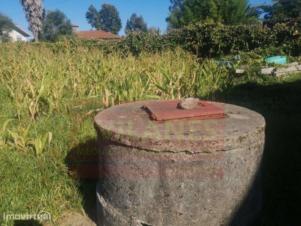 TERRENO P/ CONSTRUÇÃO - LOBÃO - Grande imagem: 3/5