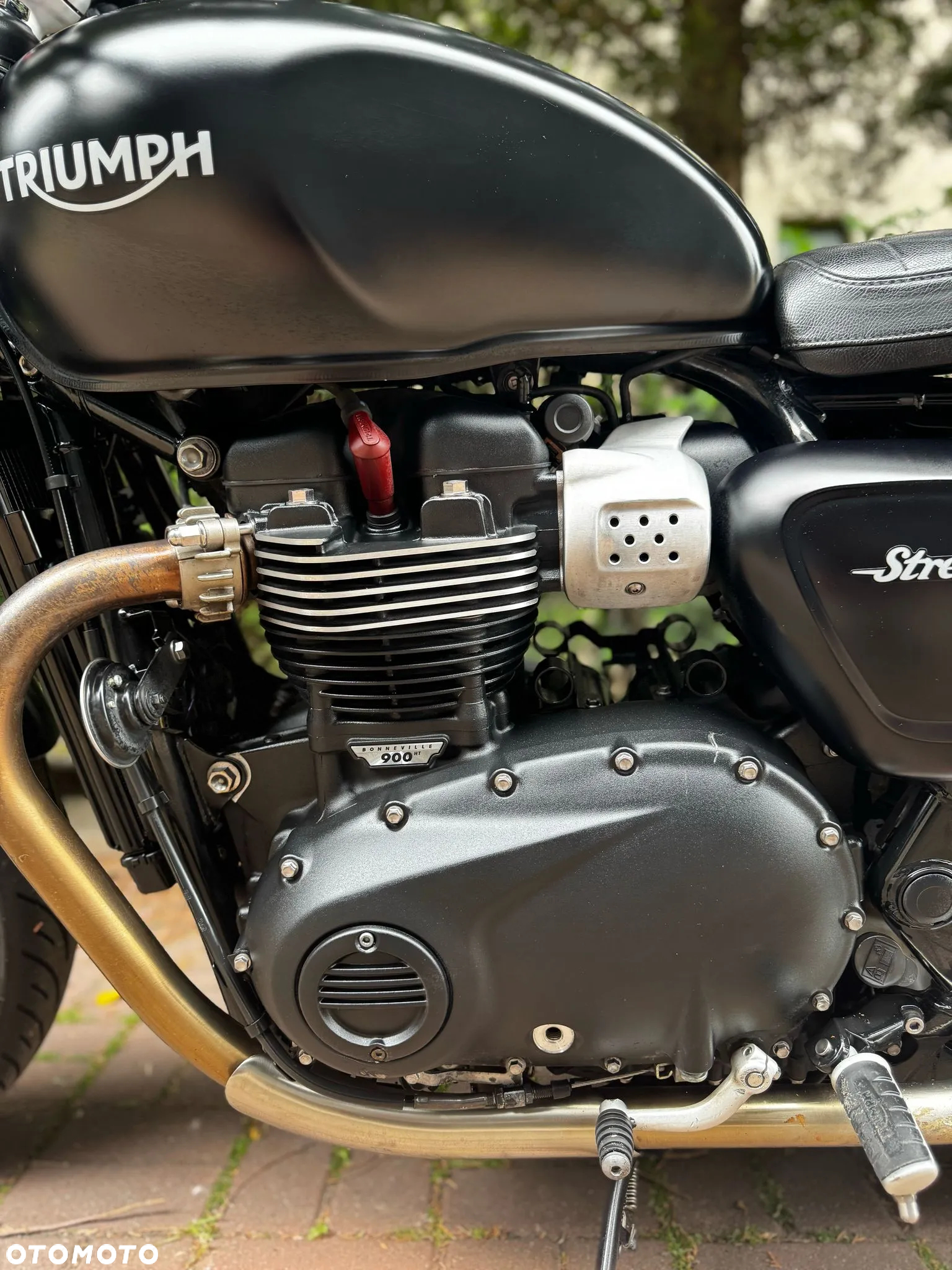 Triumph Speed Twin - 12