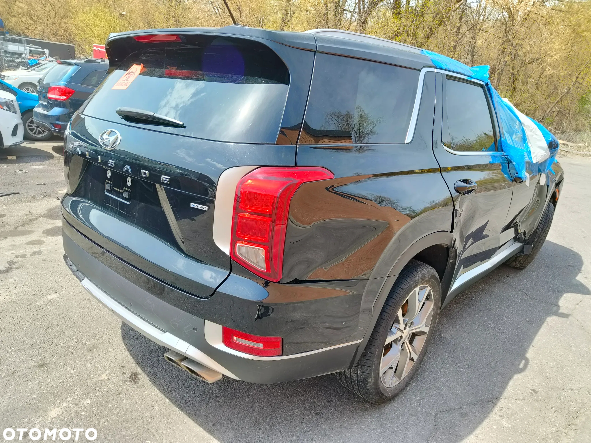 Hyundai Palisade - 25