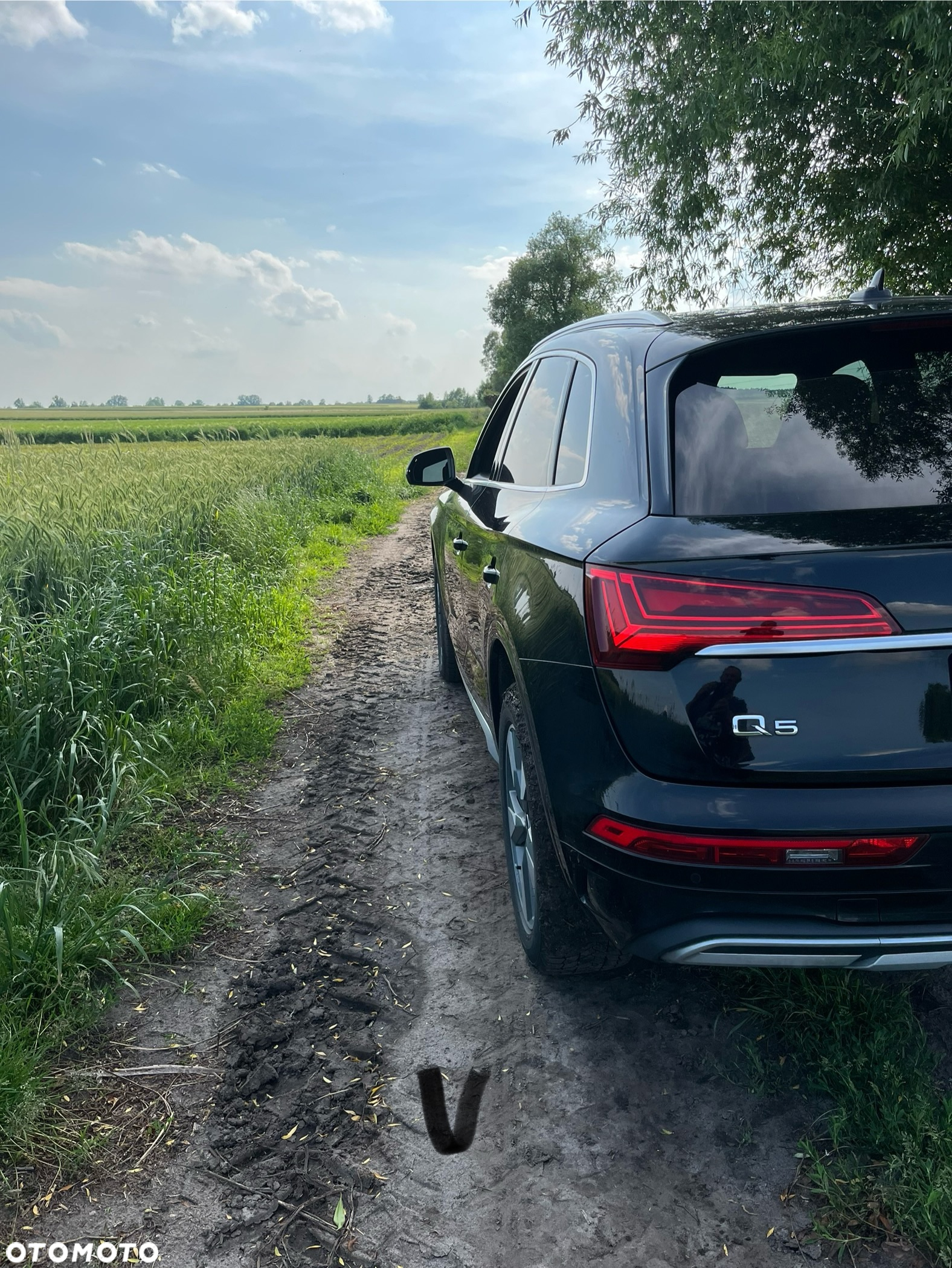Audi Q5 45 TFSI quattro S tronic - 8