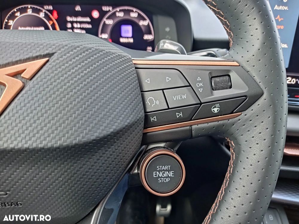 Cupra Terramar - 25
