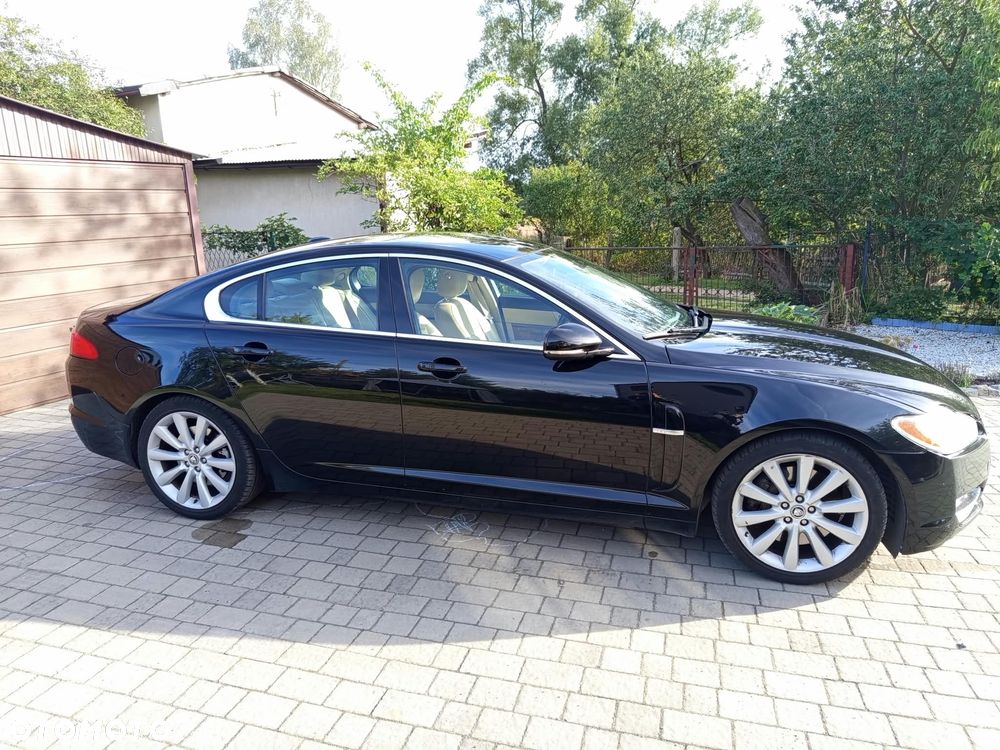 Jaguar XF 3.0 V6 D Luxury - 7