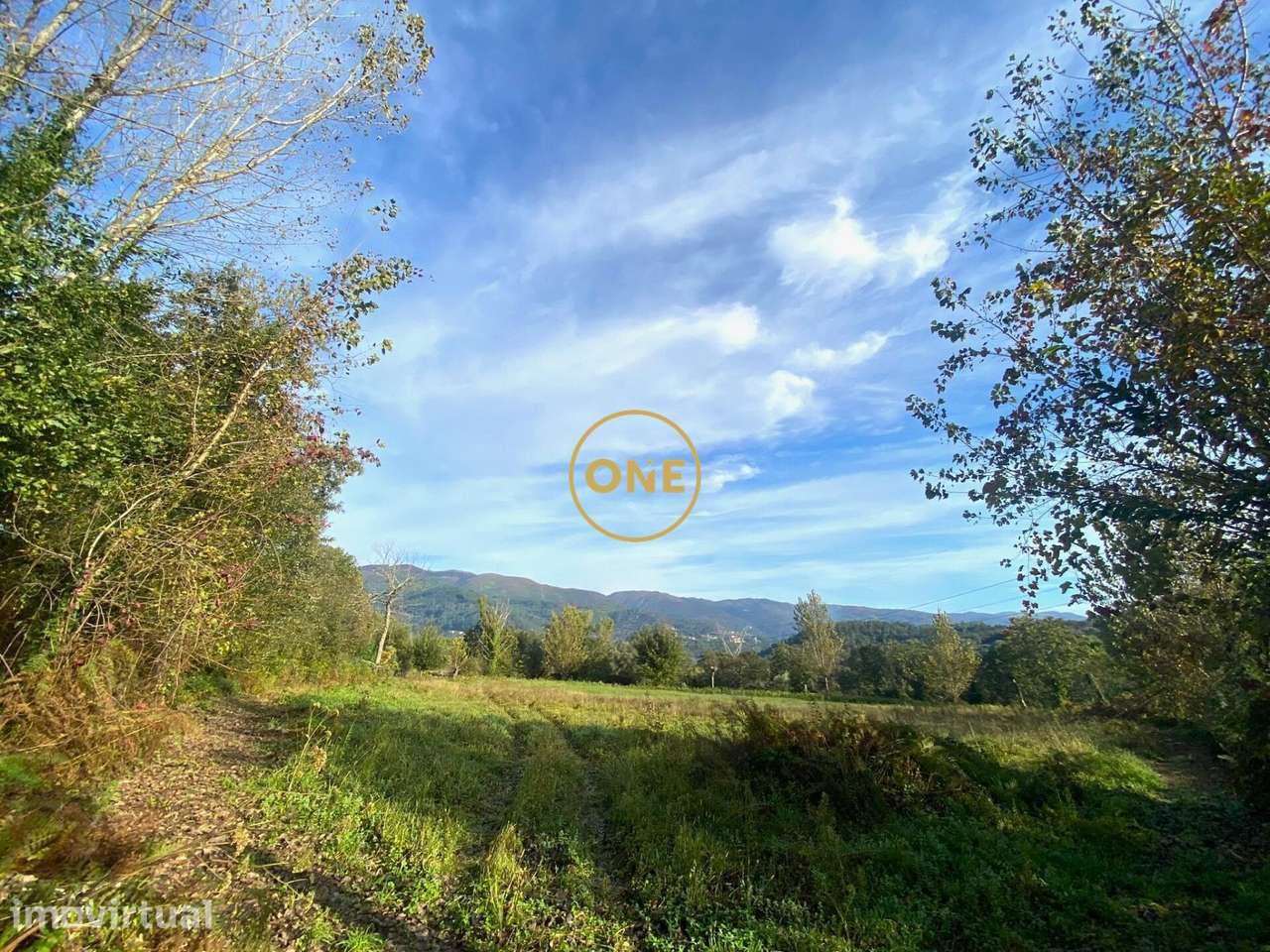 Vendo Terreno em Souto - Grande imagem: 5/5