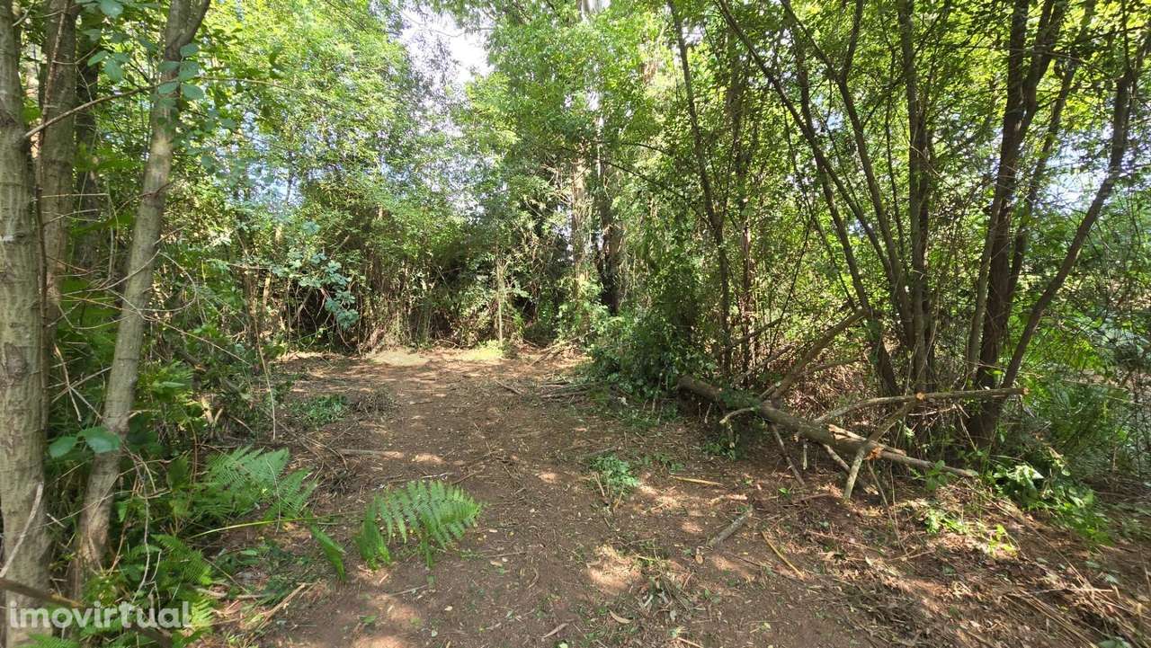 Terreno para Industria ou armazém e logradouro - Grande imagem: 5/15