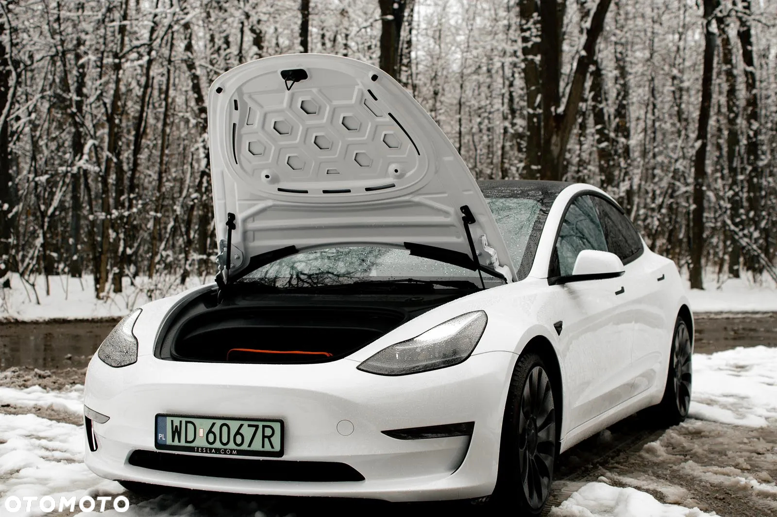 Tesla Model 3 Performance AWD - 24