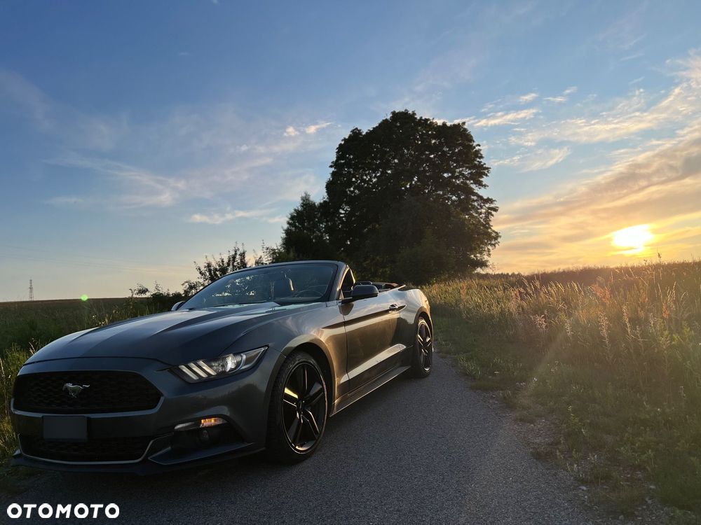 Ford Mustang - 1