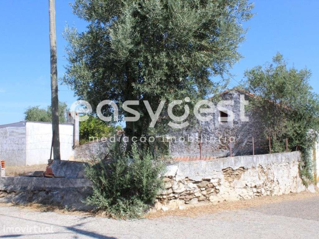 Moradia T2 para recuperar com 522m2 de terreno nas Mouriscas - Grande imagem: 3/23
