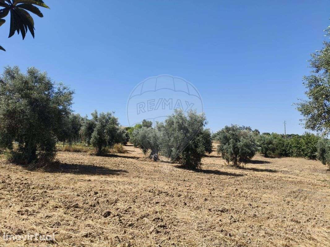 Terreno  para venda - Grande imagem: 2/6