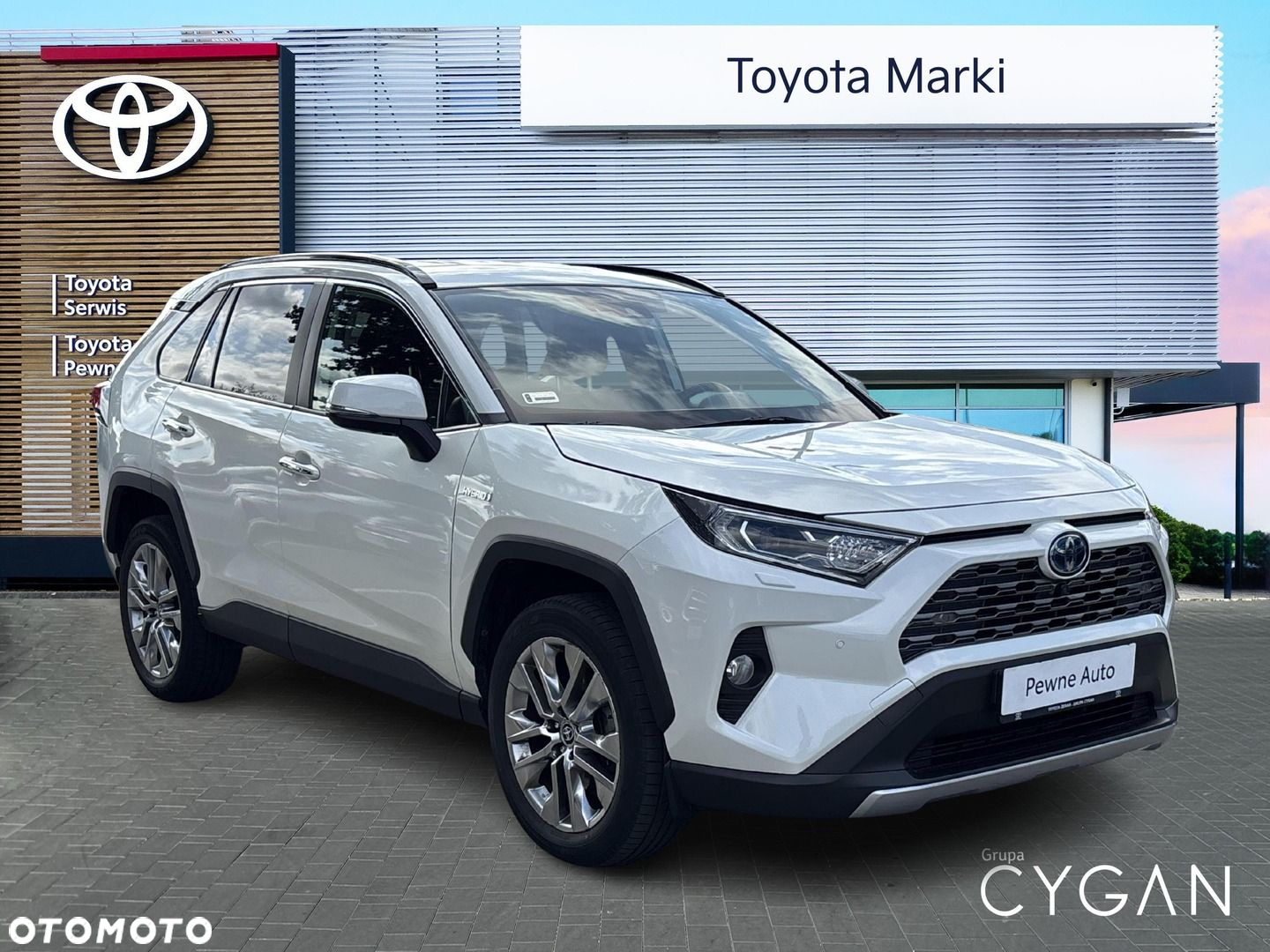 Toyota RAV4 2.5 Hybrid Executive 4x2 - 6
