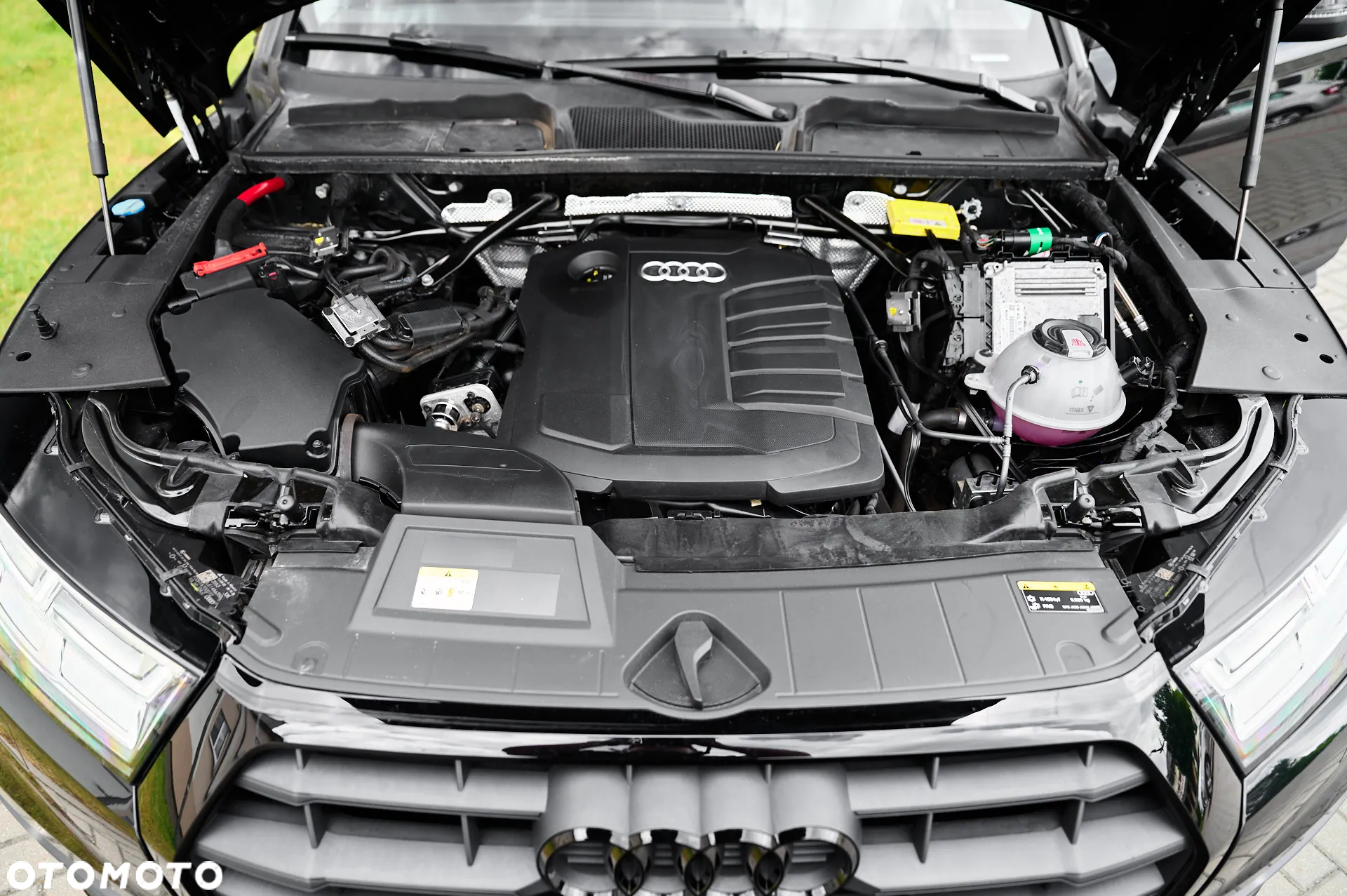Audi Q5 - 27
