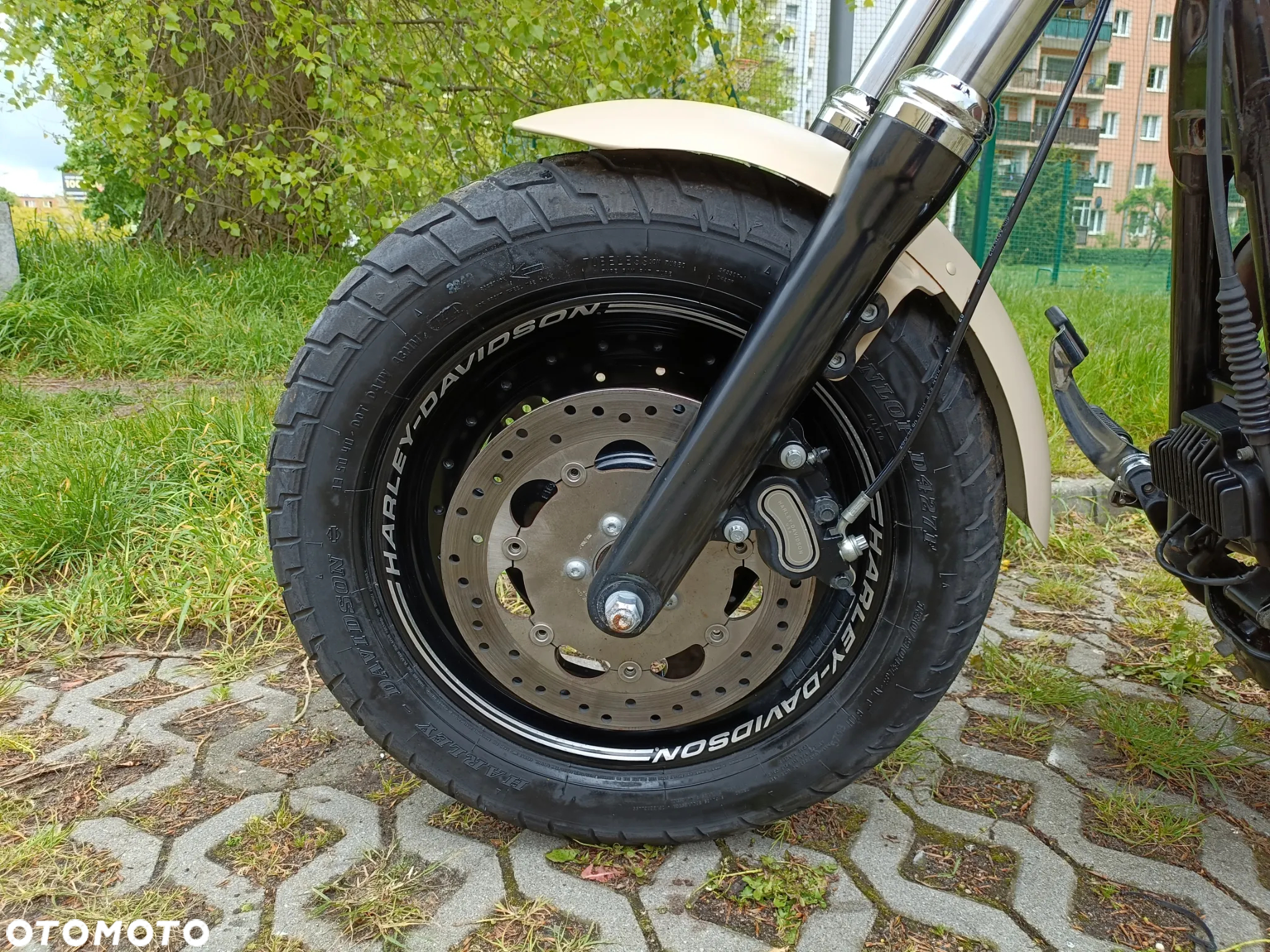 Harley-Davidson Dyna Fat Bob - 32