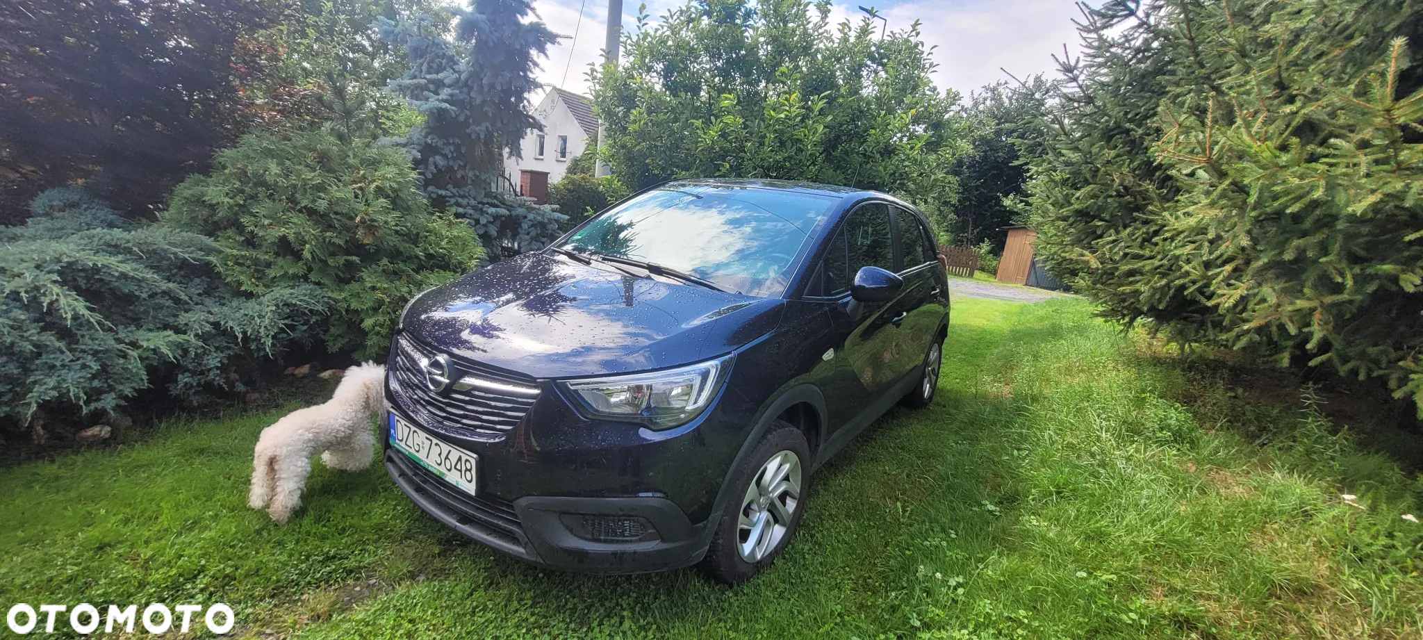 Opel Crossland X 1.2 T Eco Enjoy S&S - 18