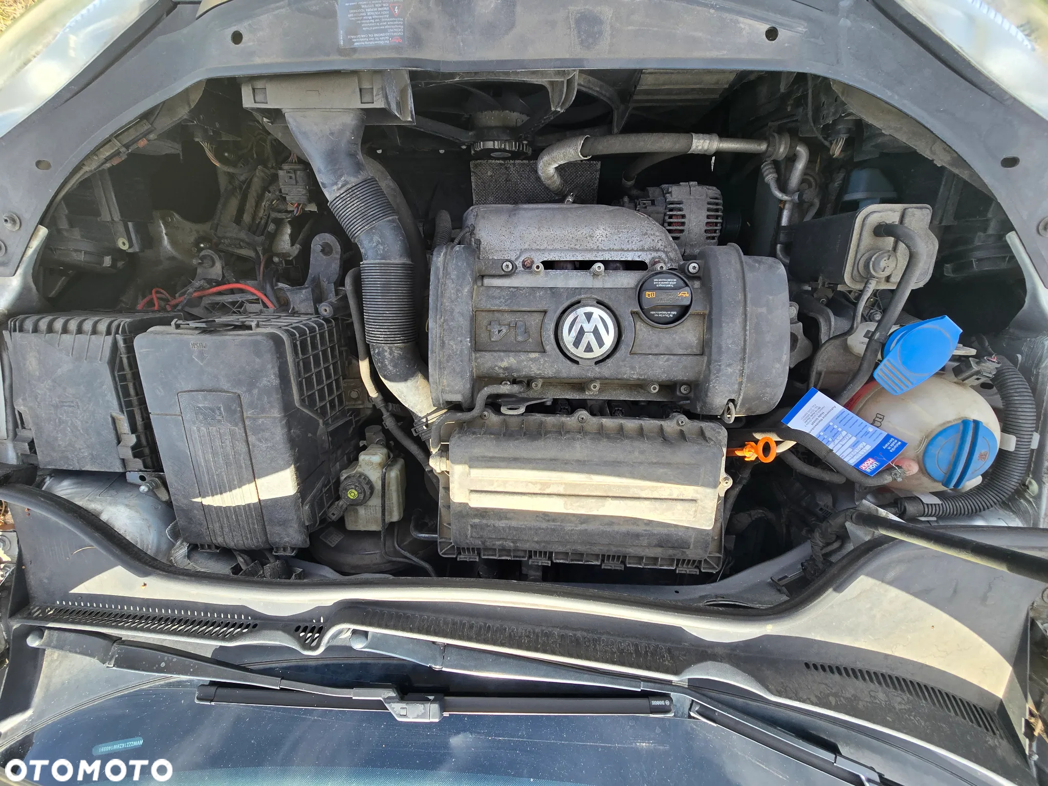 Volkswagen Golf - 19
