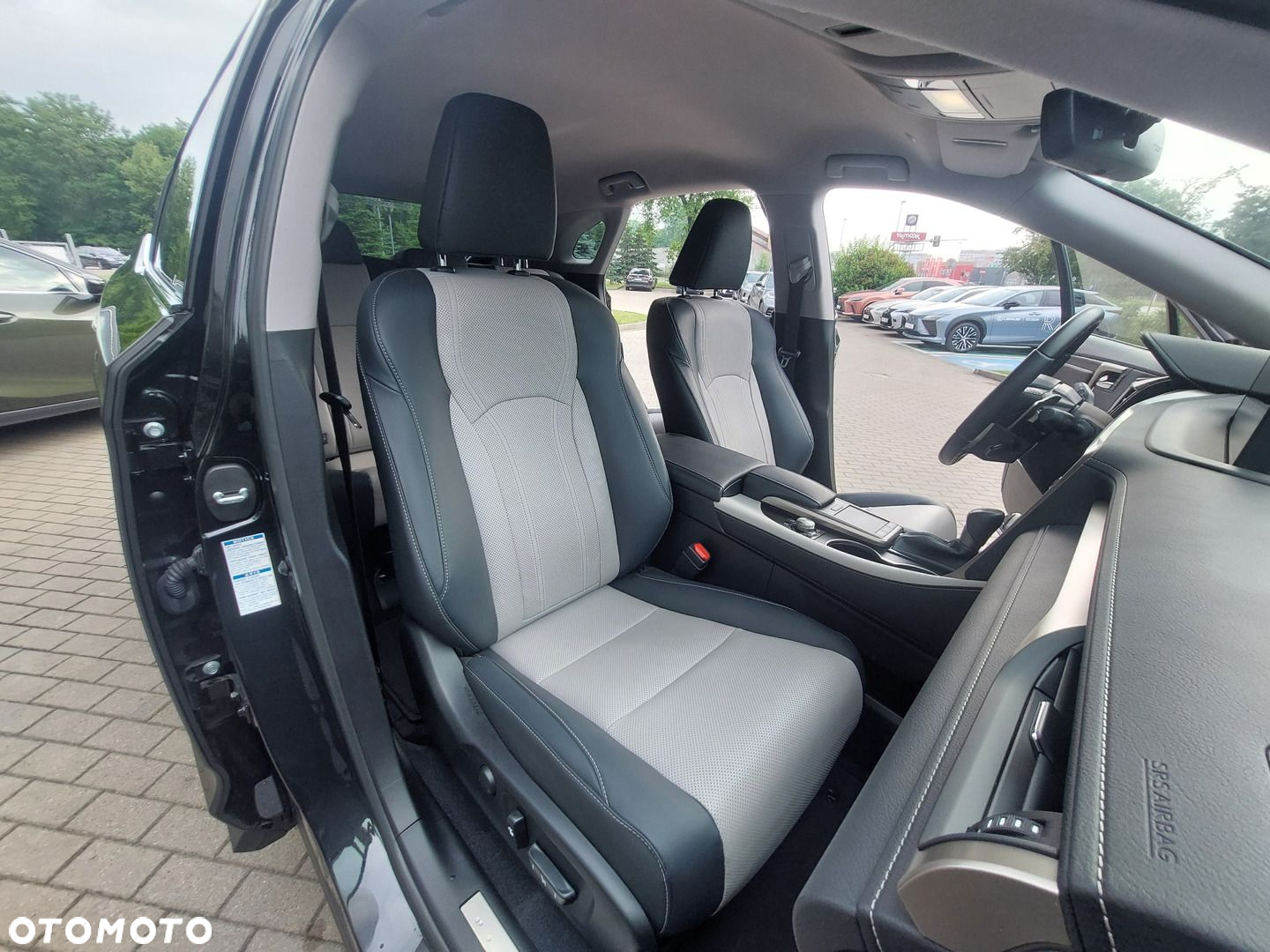 Lexus RX 450h F-Impression - 16