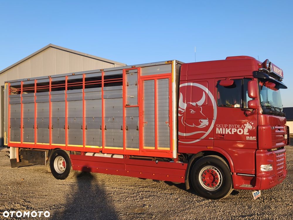 DAF XF 105.460 - 9