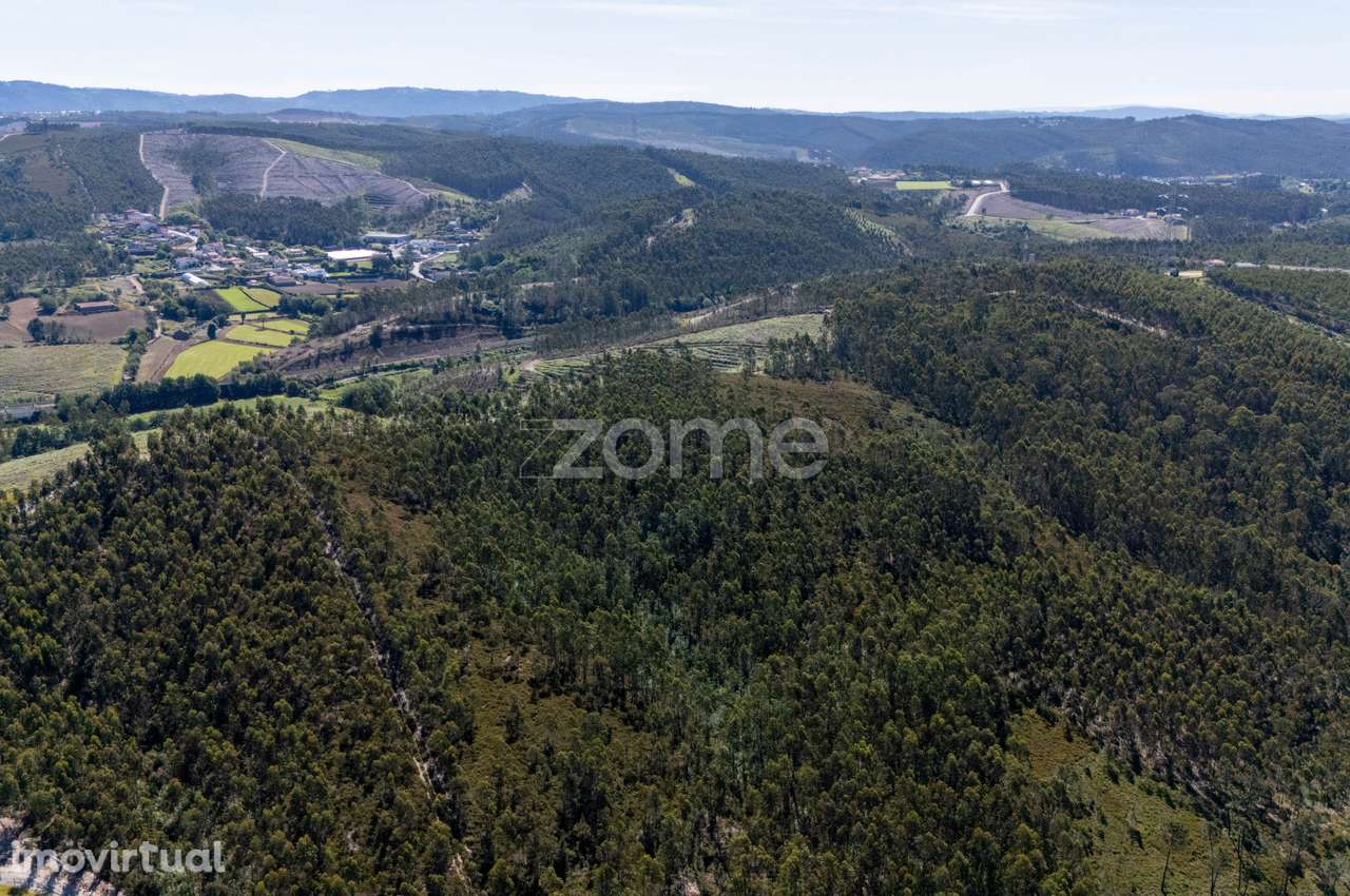 Terreno rústico - 35.600m2 - Cedões - Trofa - Grande imagem: 5/15