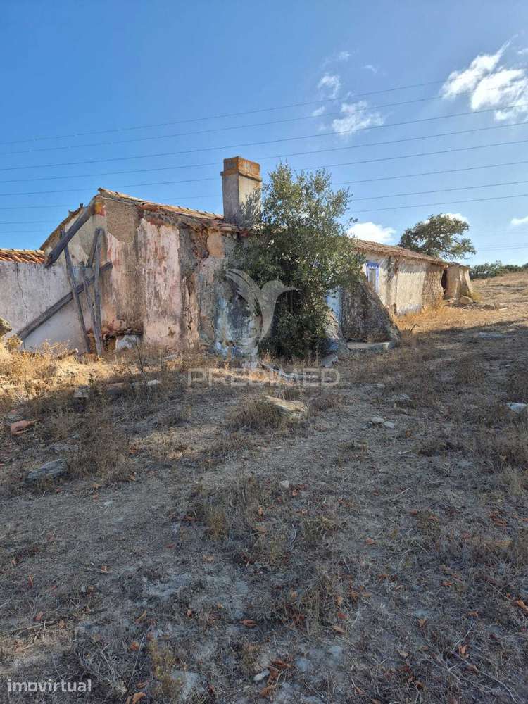 Herdade 78,5 ha com Cortiça, Eucaliptos e Ruínas | São Luís, Odemira - Grande imagem: 4/10