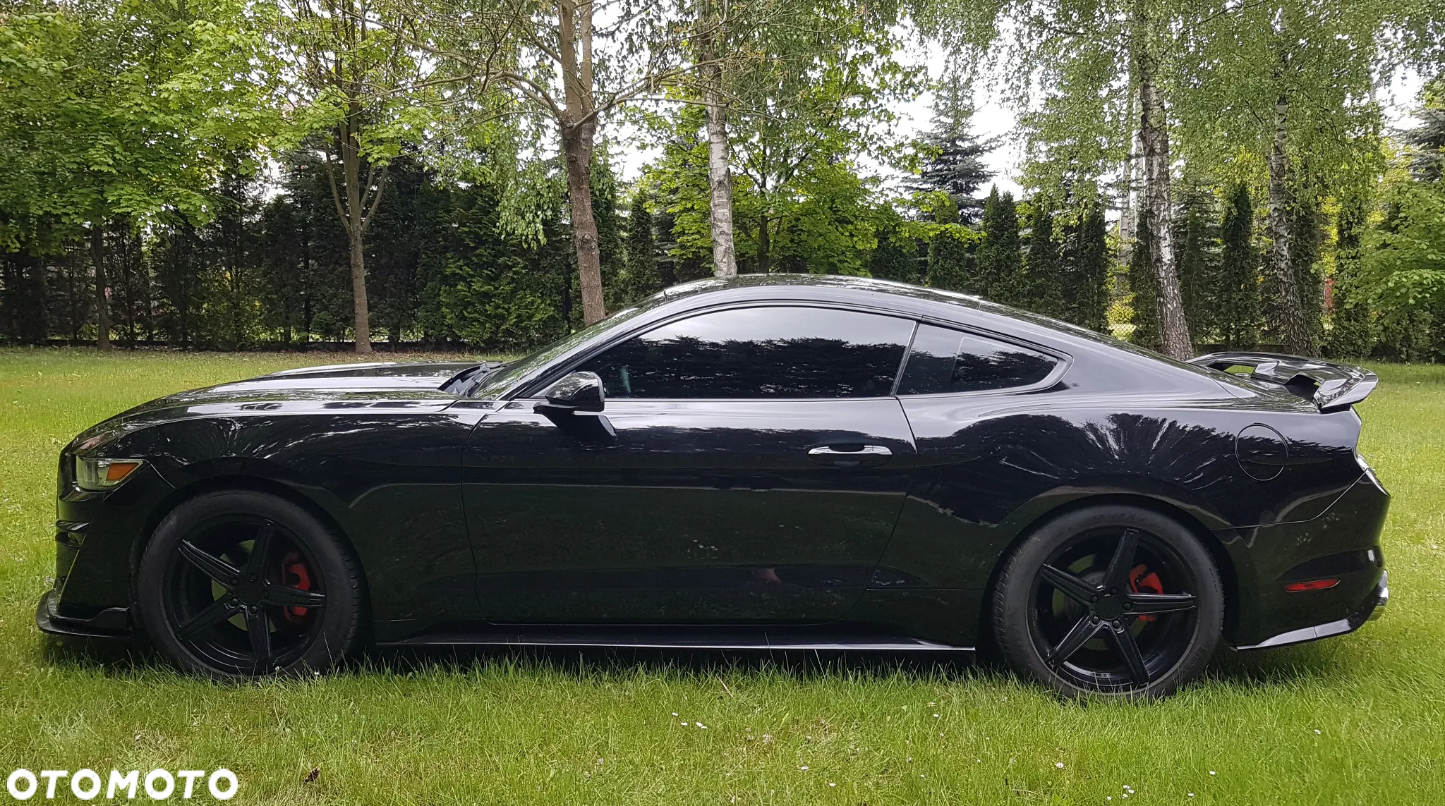 Ford Mustang 3.7 V6 - 10