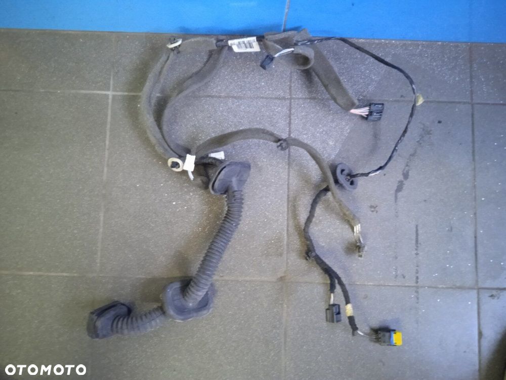 Wiązka Instalacja Prawych Przednich Drzwi Renault Megane III - 1