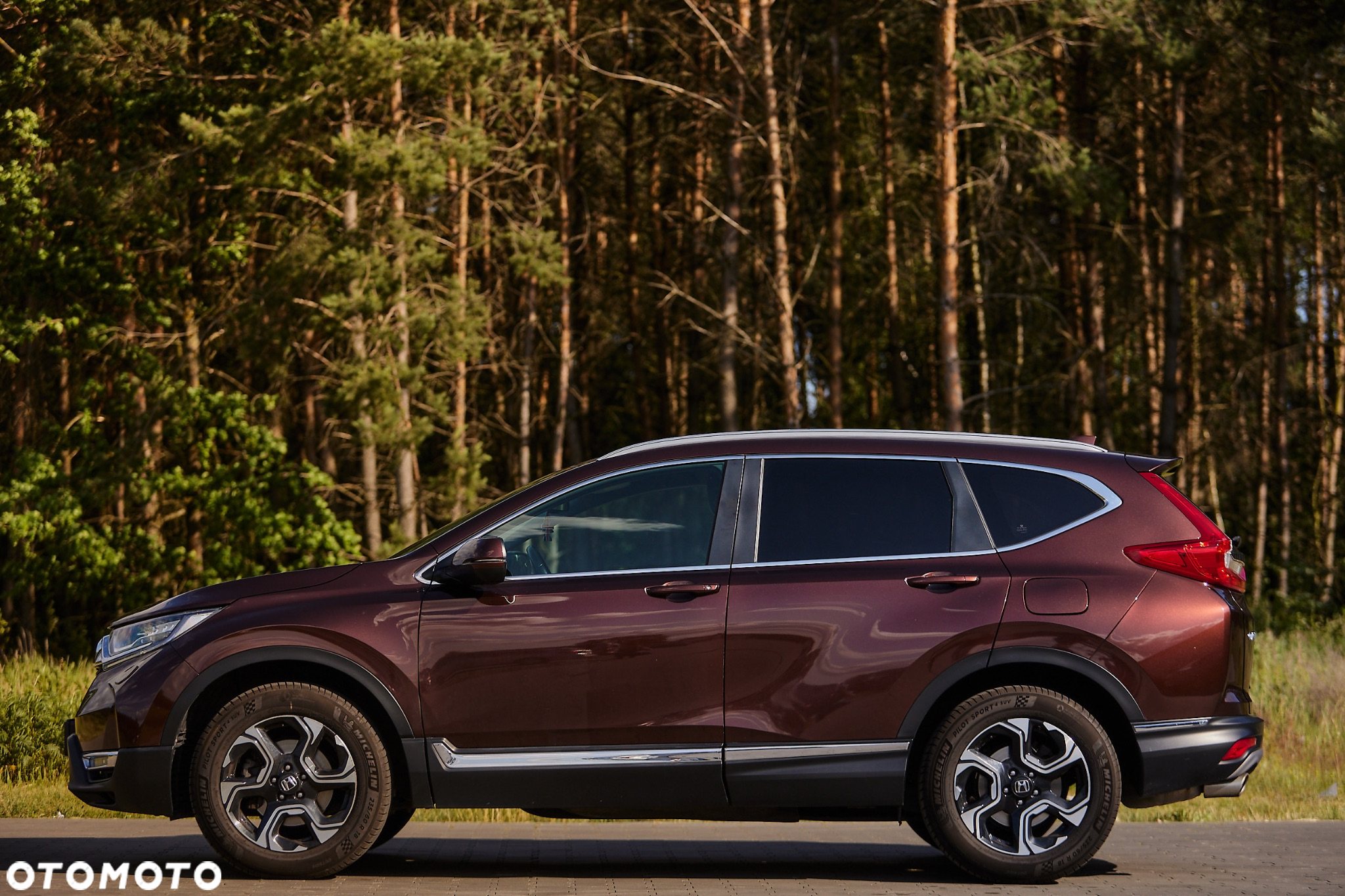 Honda CR-V 1.5 Lifestyle (Honda Connect+ / 7 os.) CVT - 5