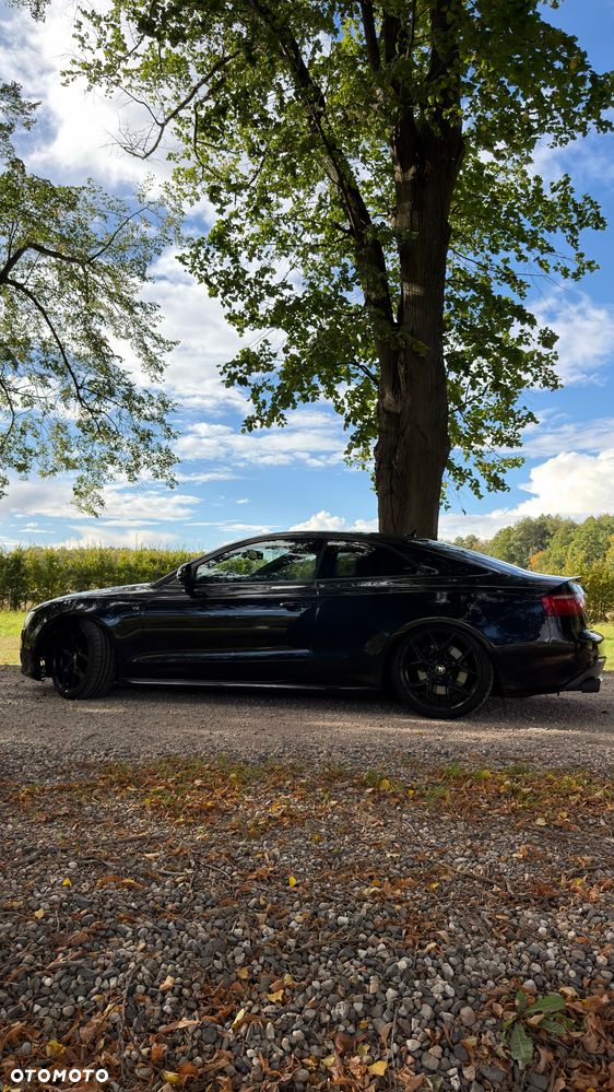 Audi S5 2008 photo 5