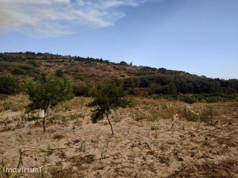 Terreno agrícola em activo. - Grande imagem: 5/12