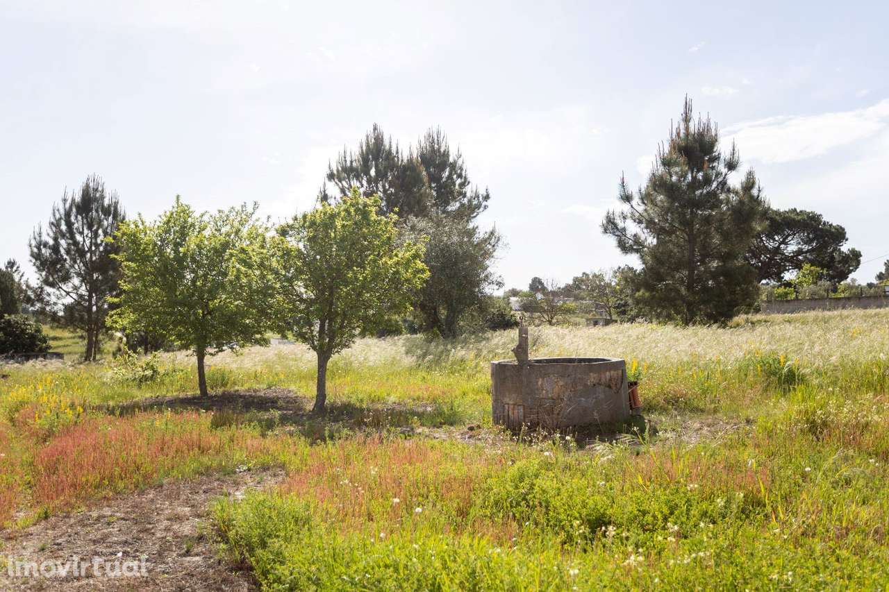 Moradia T1 -  Fajarda/ Coruche - Grande imagem: 4/10