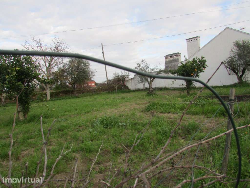 Terreno com 1600m2 com viabilidade de construção - Grande imagem: 3/12