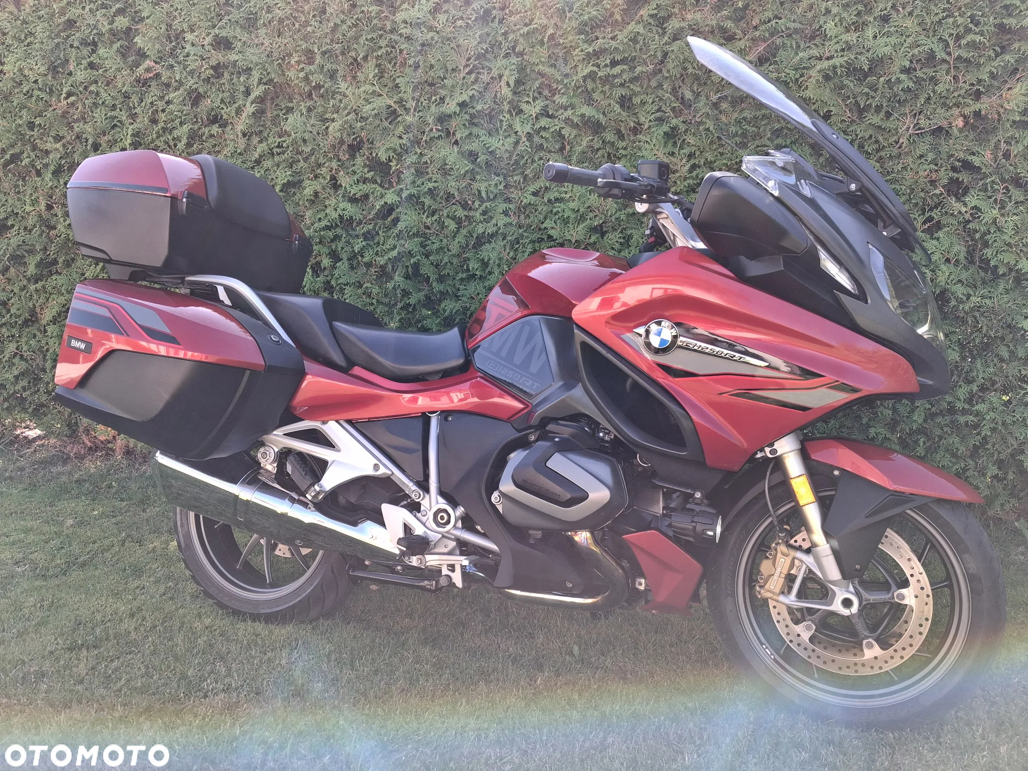 BMW R - 31