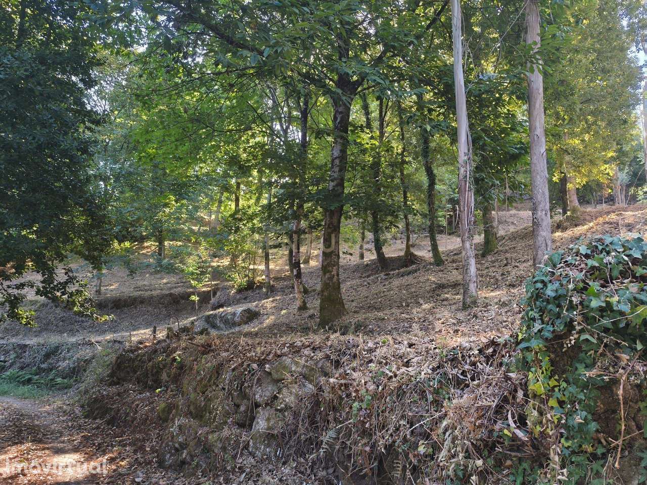 Terreno Rústico com 5.720m² no Gerês, Excelente Acesso e Proximidade a - Grande imagem: 3/12