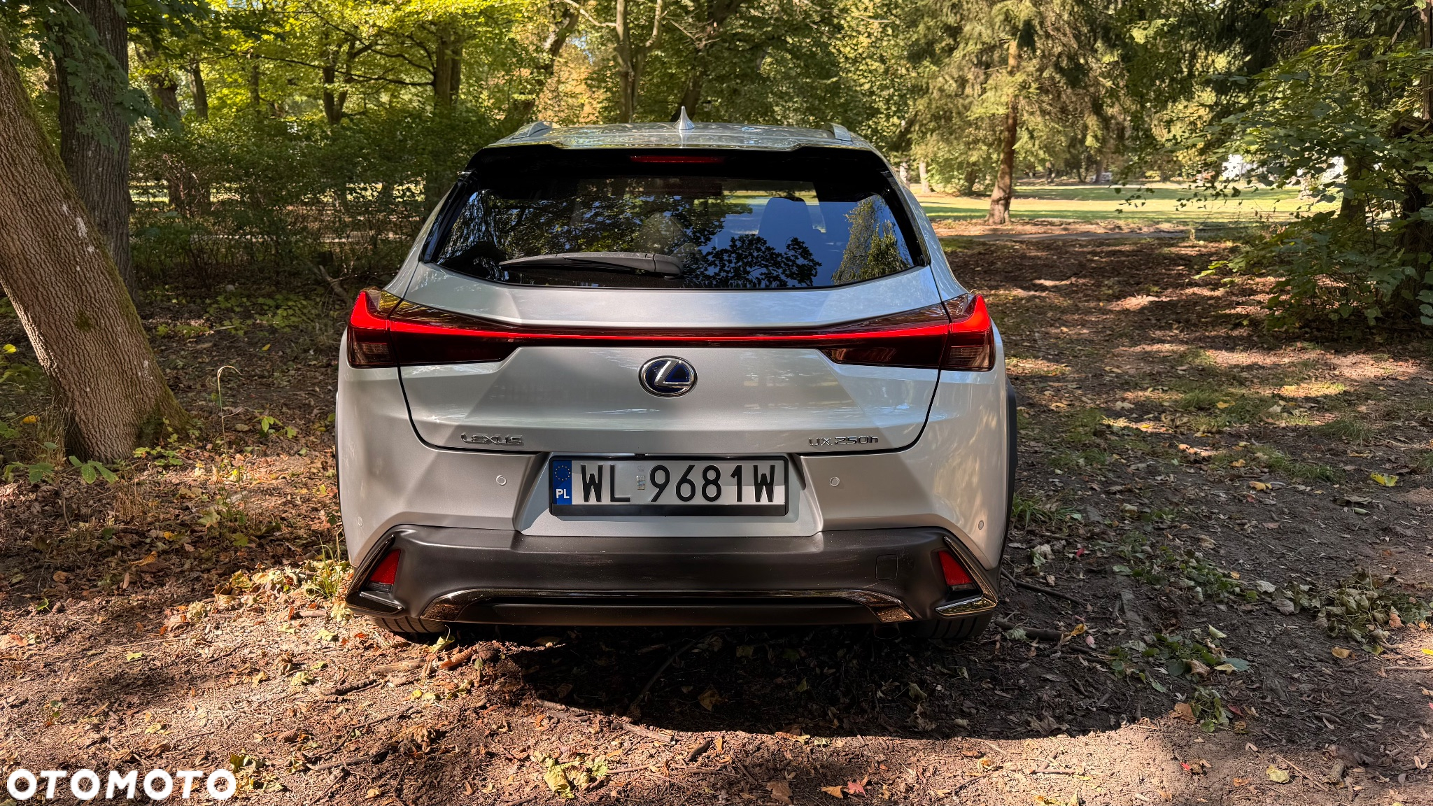 Lexus UX 250h GPF F Sport Edition 2WD - 11