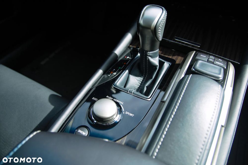 Lexus GS 200t / 300 Elegance - 18
